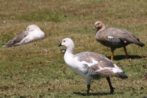 Klik hier voor meer...